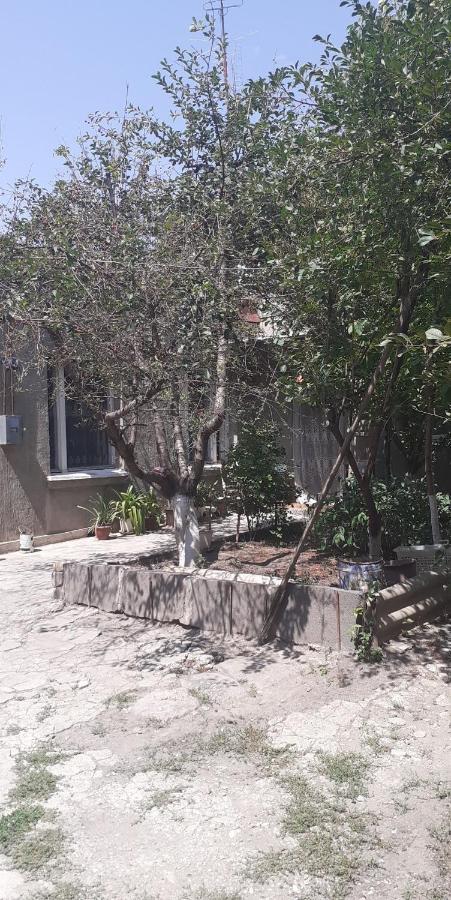 Guest House OTILIA Gyumri Extérieur photo